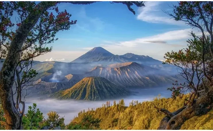 Masih Banyak Pilihan