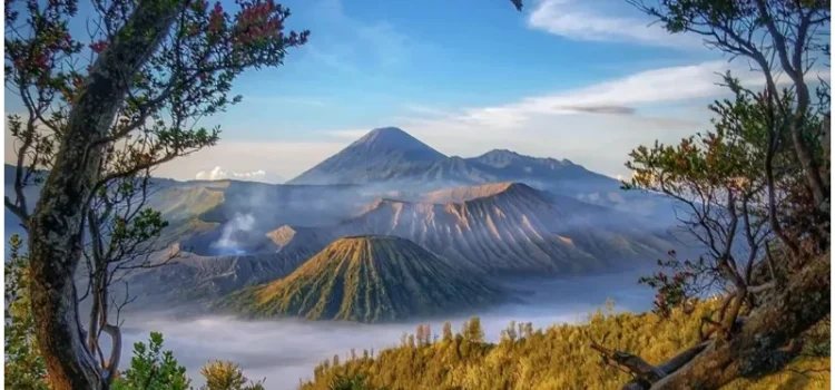 Masih Banyak Pilihan