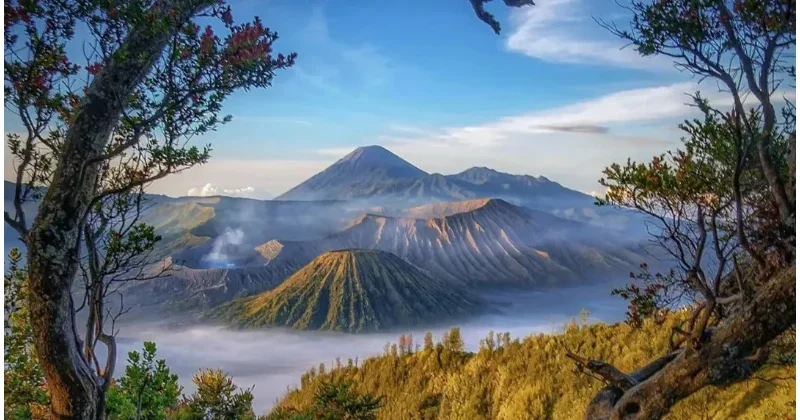 Masih Banyak Pilihan